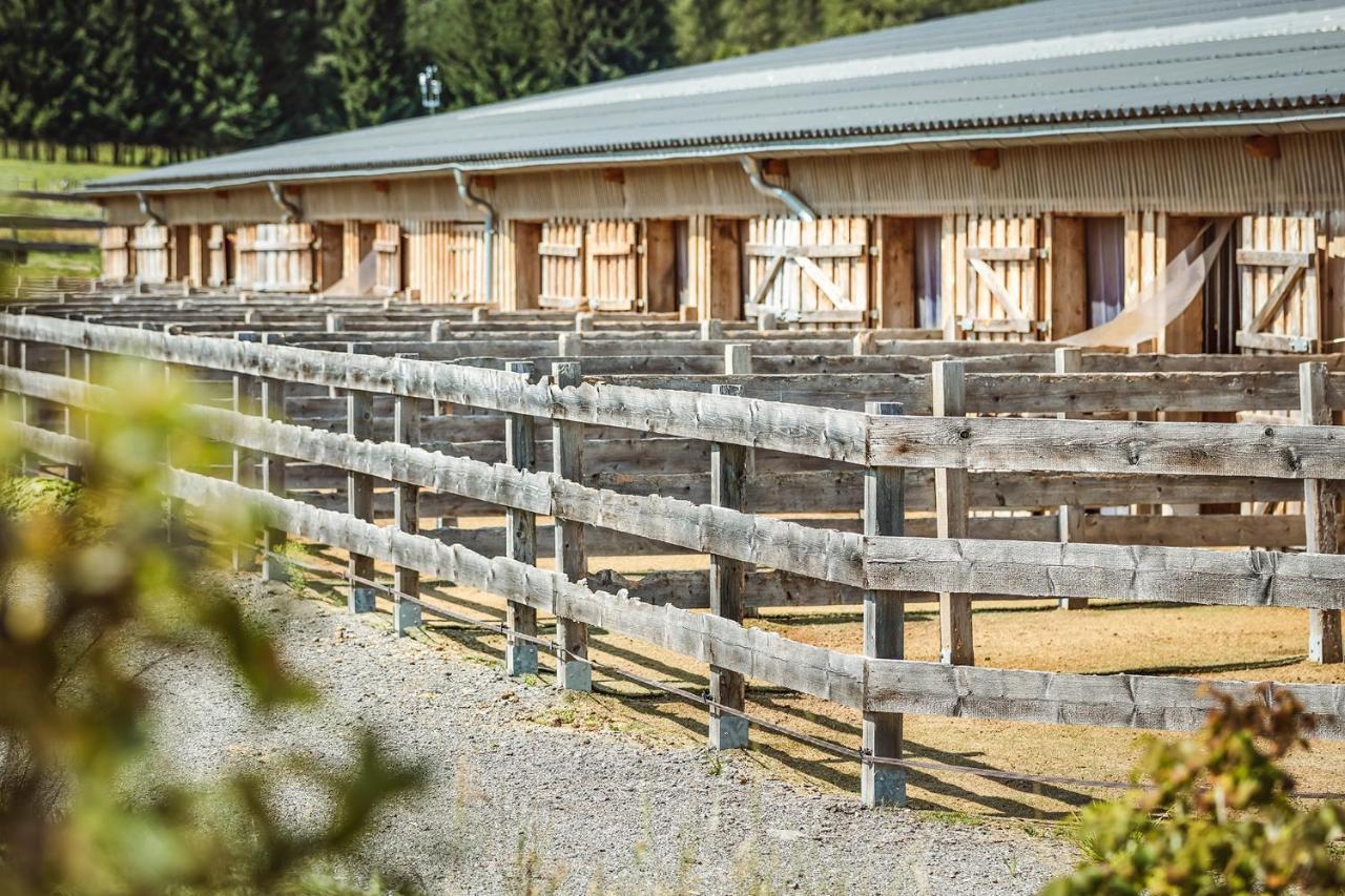 Ranchhouse Bubble - Westernstable - Horse Elterlein Eksteriør billede