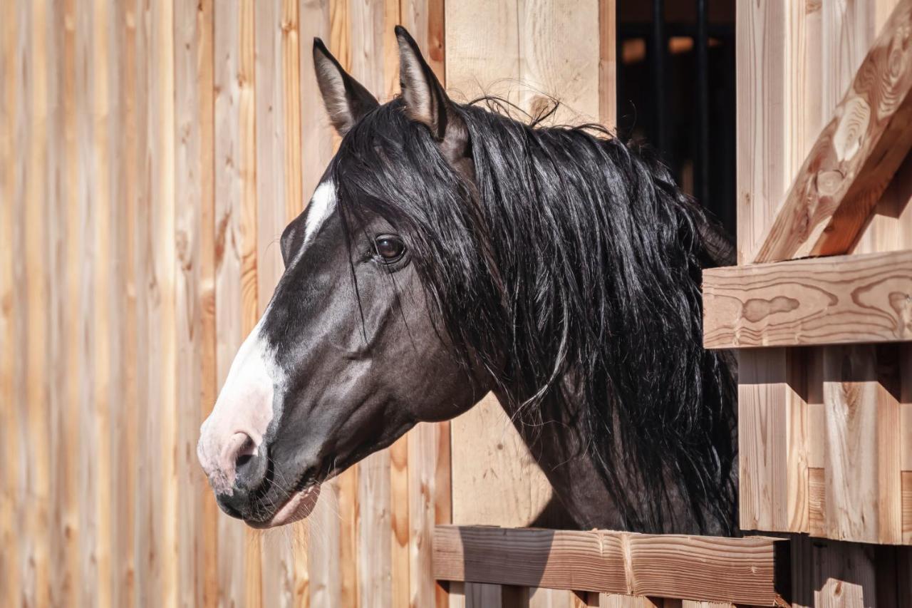 Ranchhouse Bubble - Westernstable - Horse Elterlein Eksteriør billede